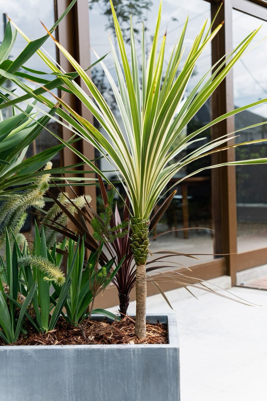 Garden Renovation Toyonaka施工写真